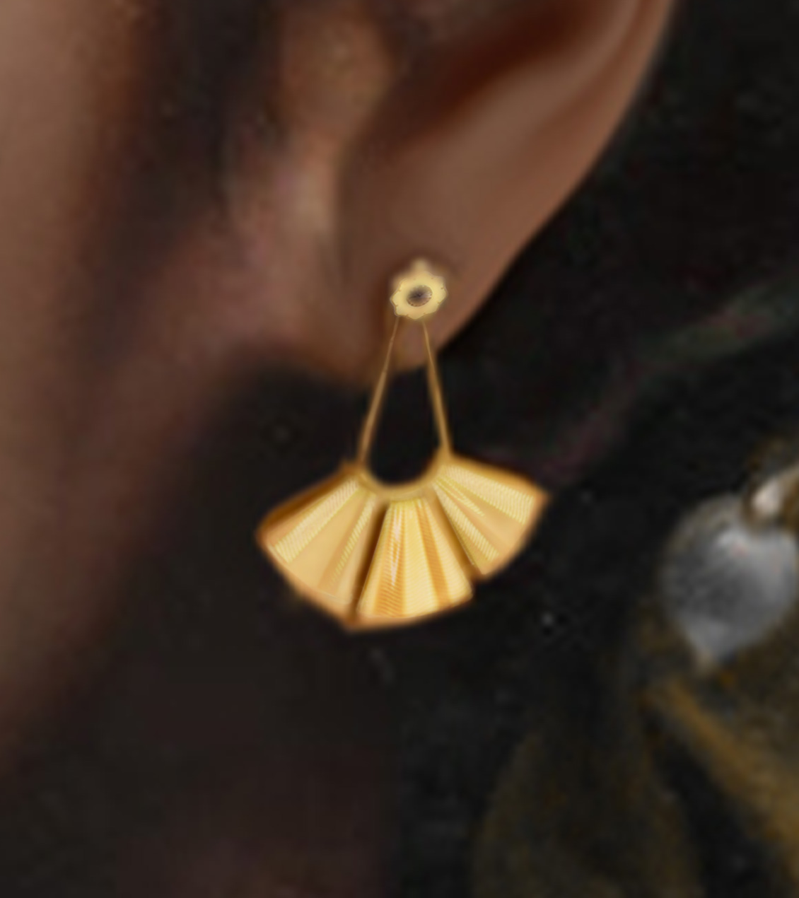 Painting Ringandearing Closeup